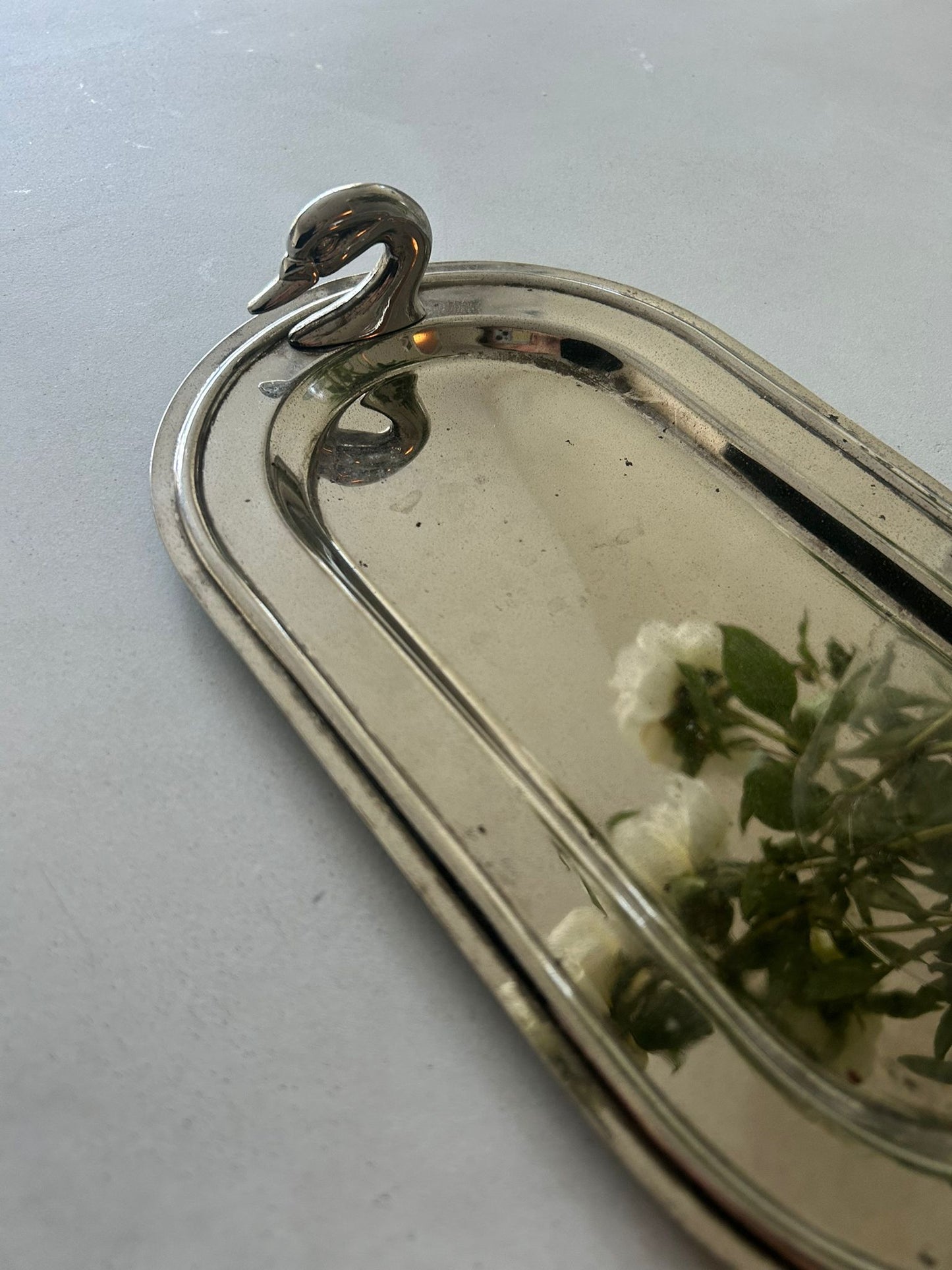 The Swan plate